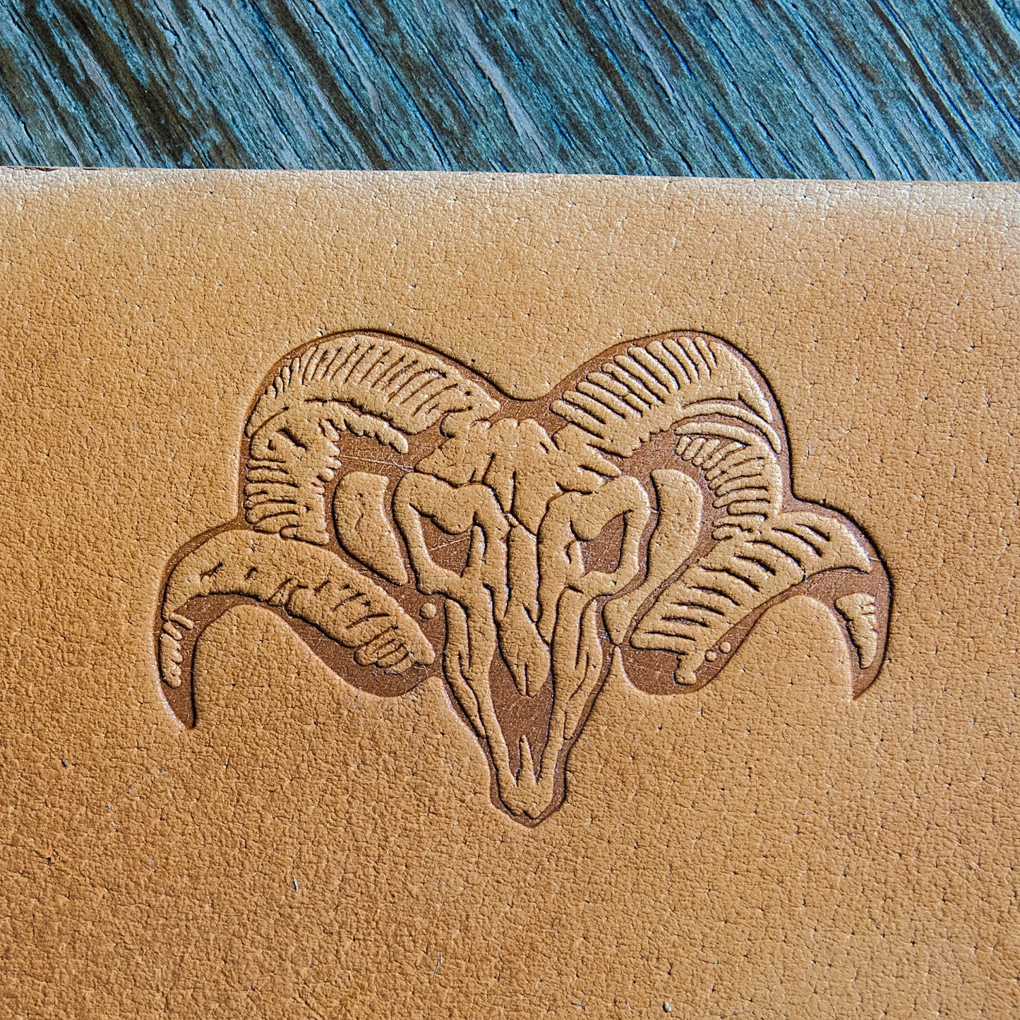 Leather stamp Skull with horns 5cm x 3,5cm (1,97" x 1,37")