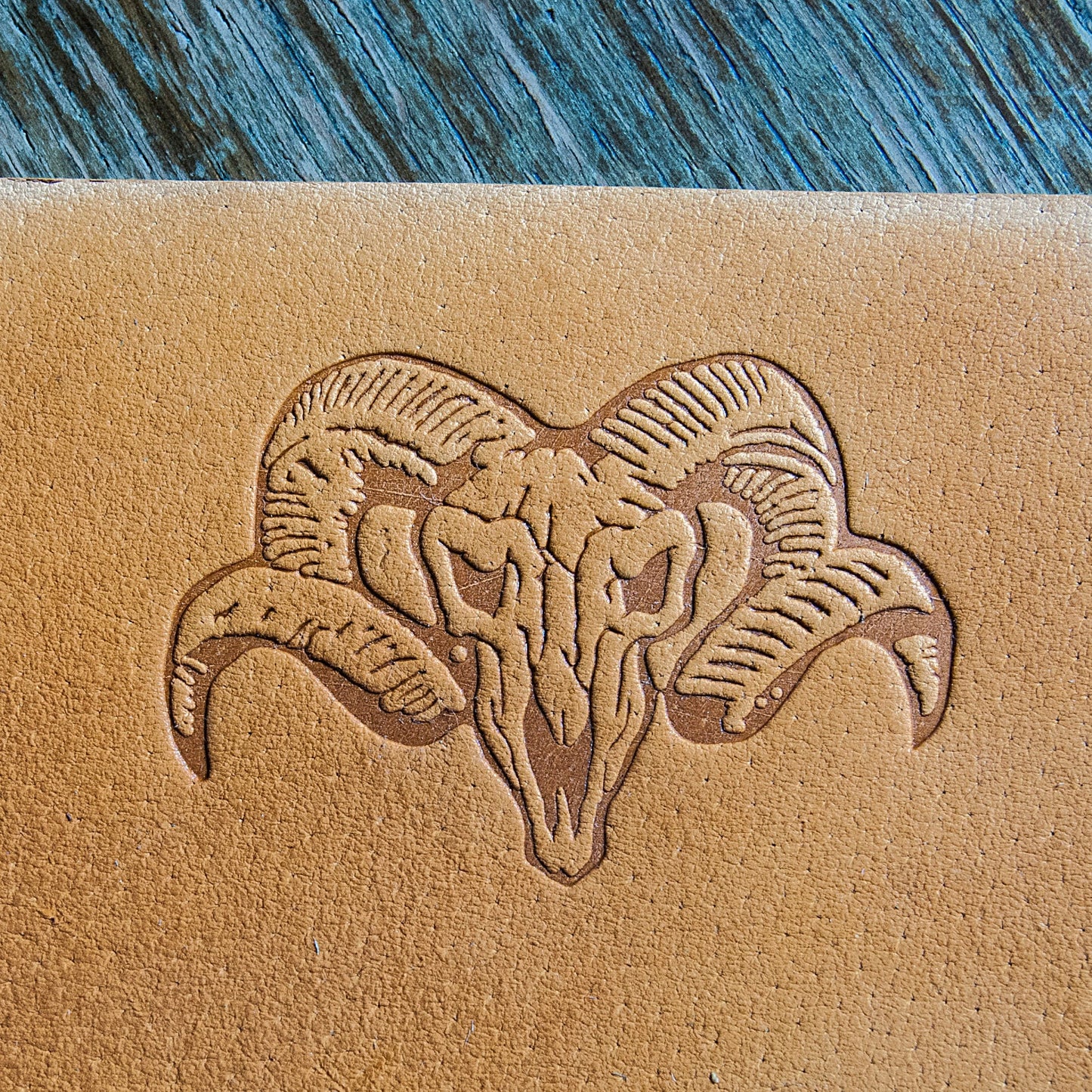 Leather stamp Skull with horns 5cm x 3,5cm (1,97" x 1,37") - Delrin Material