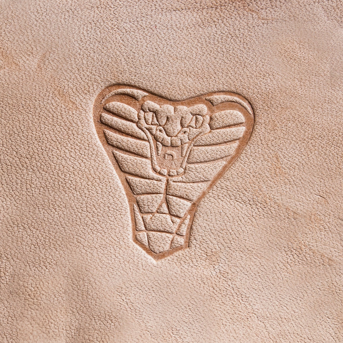 Leather Stamp : Cobra 3x3,3cm (1,18"x1,29") - Delrin Material