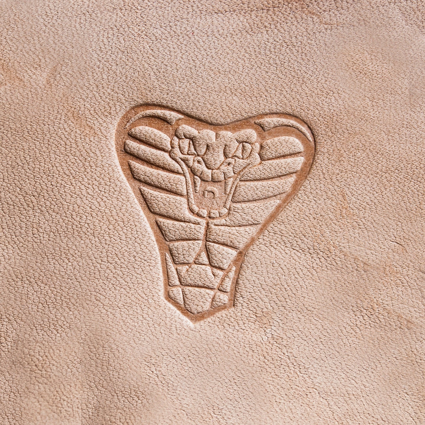 Delrin Leather cobra Stamp: 3x3,3cm (1,18"x1,29")
