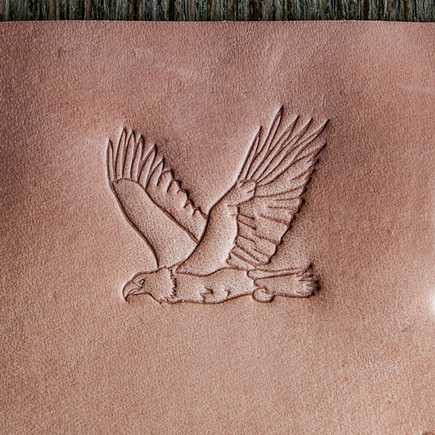 Leather Stamp : Eagle 4 Positive - Delrin Material