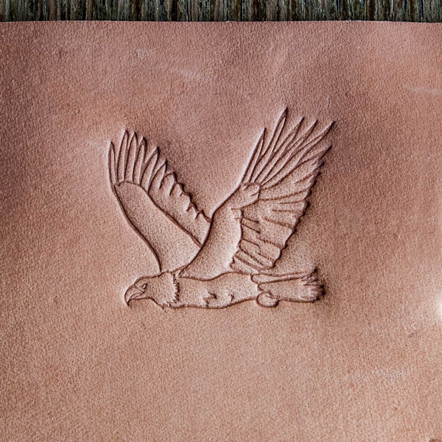 Delrin Leather Stamp: Eagle #4 Positive