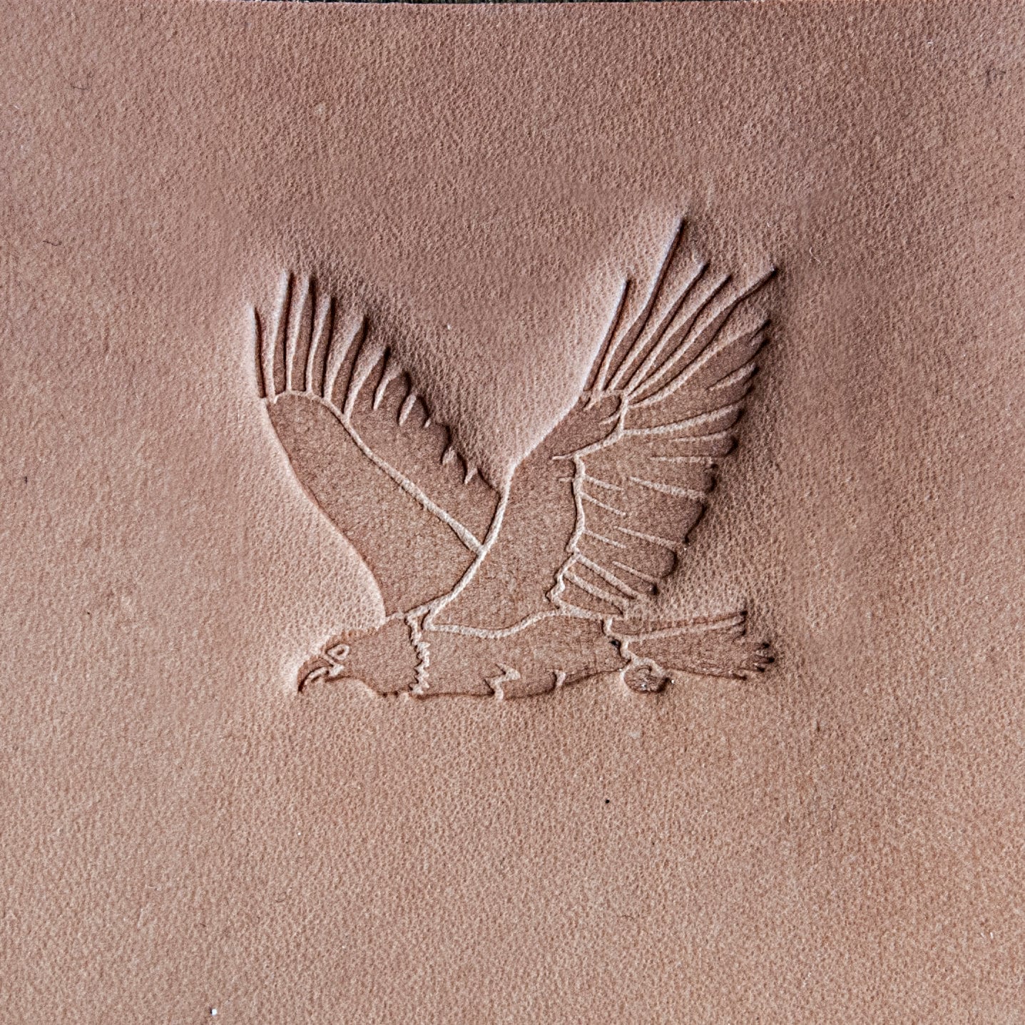 Leather Stamp : Eagle Negative - Delrin Material