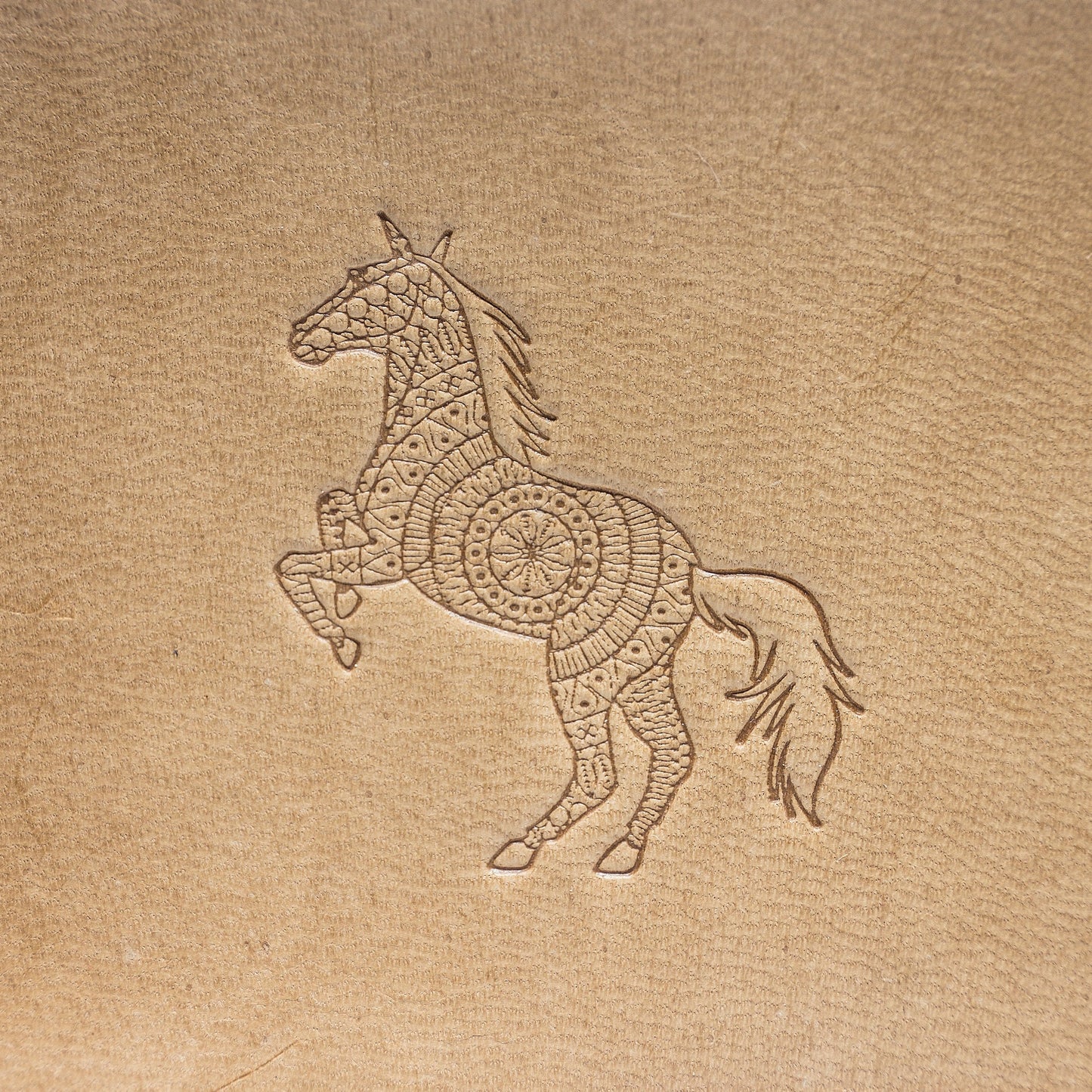 Leather Stamp : Horse 3 - Delrin Material