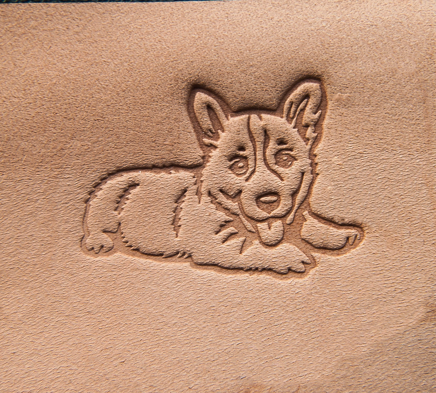 Leather Stamp Welsh corgi, dog