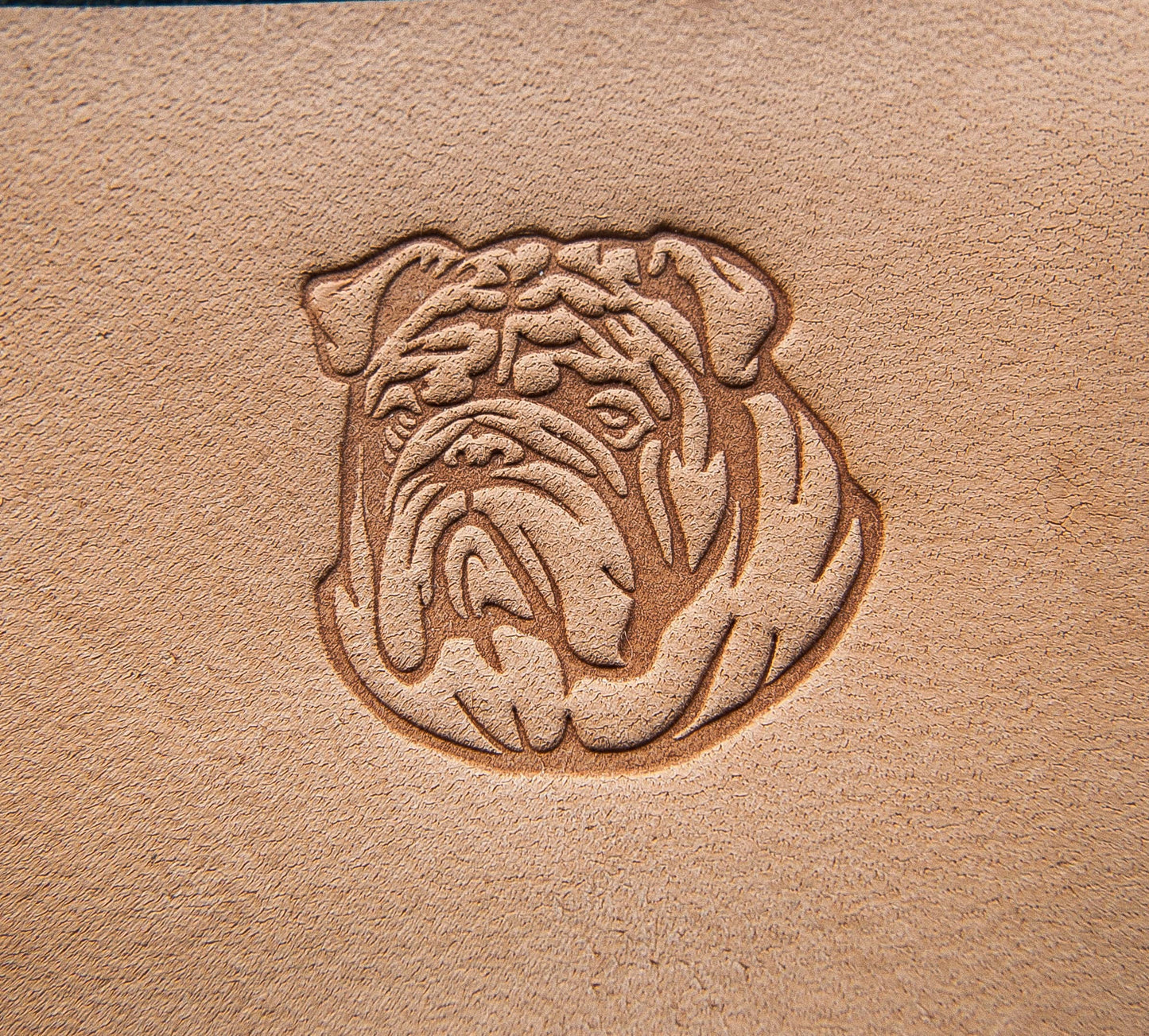Leather Stamp , English Bulldog - Delrin Material test