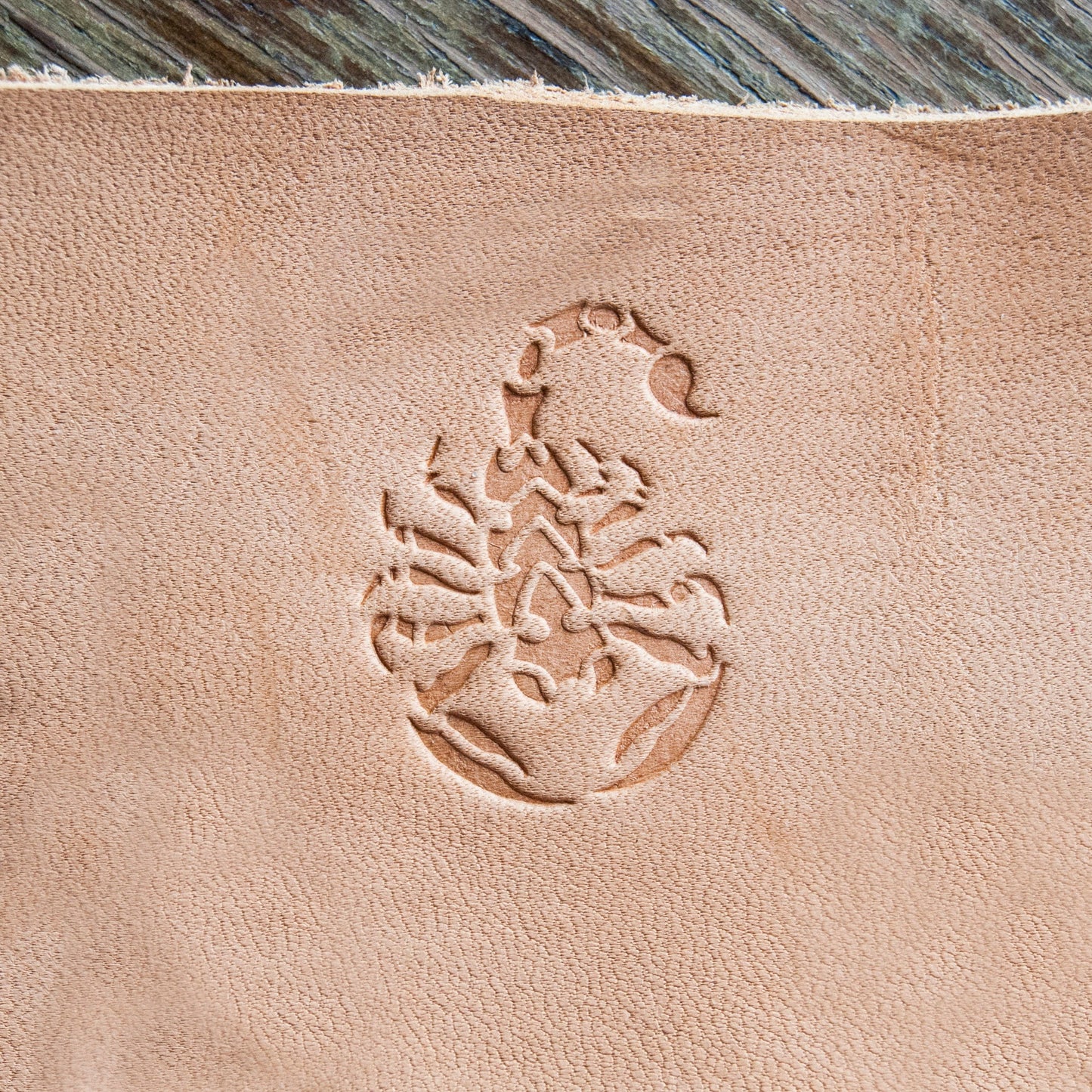 Leather stamp: Scorpion stamp - Delrin Material