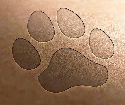 Leather Stamp , dog paw - Delrin Material